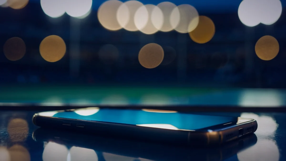 Cricket fan checking the 11xplay com app on a phone in a stadium stand